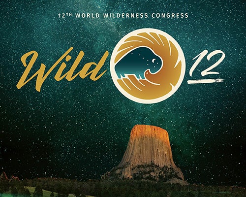 More Info for Wild 12